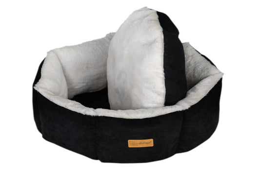 Brands and Beyond Pet Accessories DB-ANEMON Black