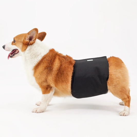 WEGREECO - Dog diaper band