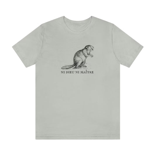 BELLA + CANVAS Mens Tops L / Grey BELLA + CANVAS - Graphic T-Shirt