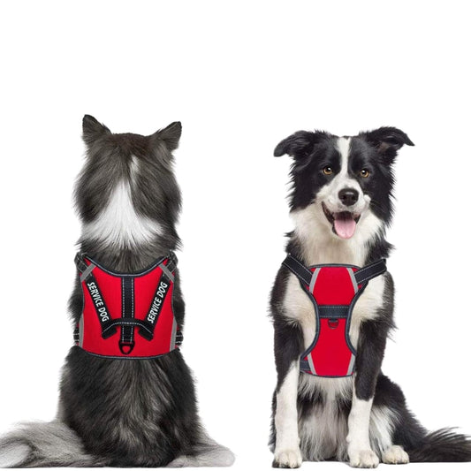 Beyond Marketplace Pet Accessories S / Red Service Dog Harness