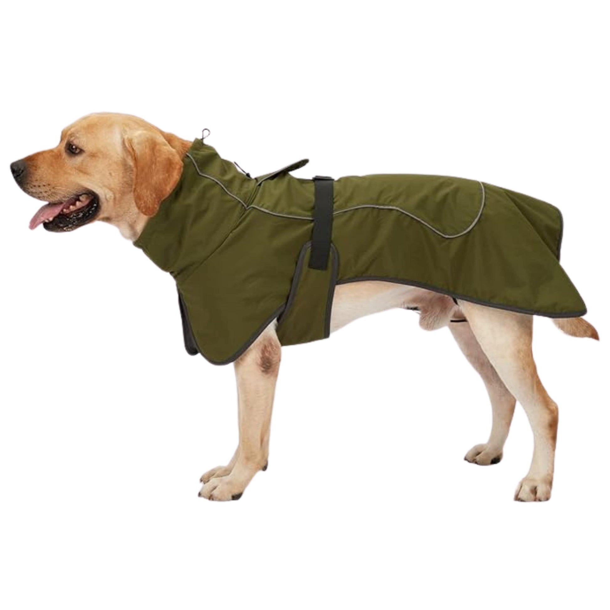 BRANDS & BEYOND Pet Accessories L / Green Dog Coat Cold Weather Reflective Soft Fleece Lining