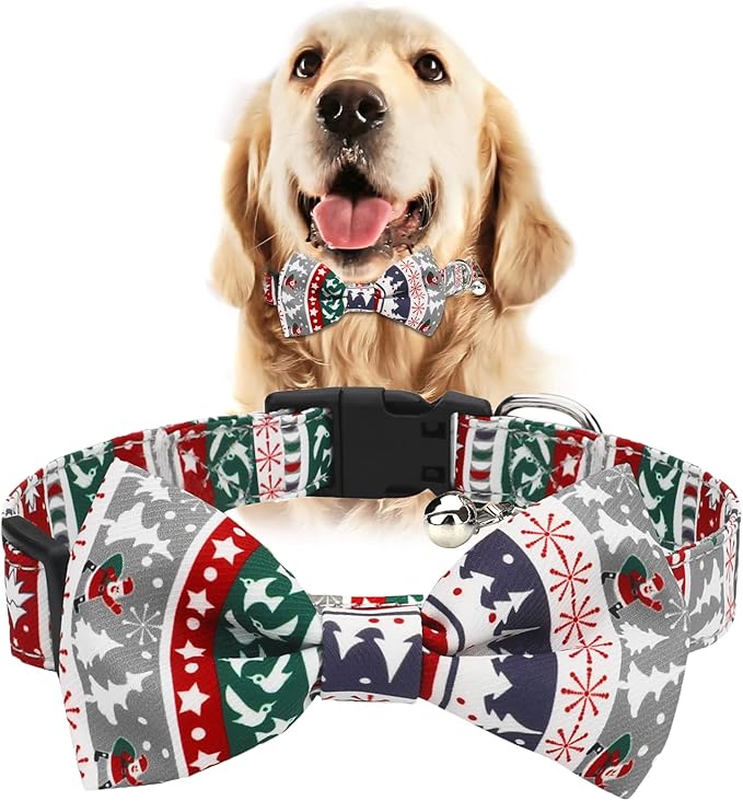 BRANDS & BEYOND Pet Accessories Festive dog collar