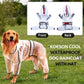 BRANDS & BEYOND Pet Accessories XL / Black Transparent Dog Raincoat, Waterproof Hooded Dog