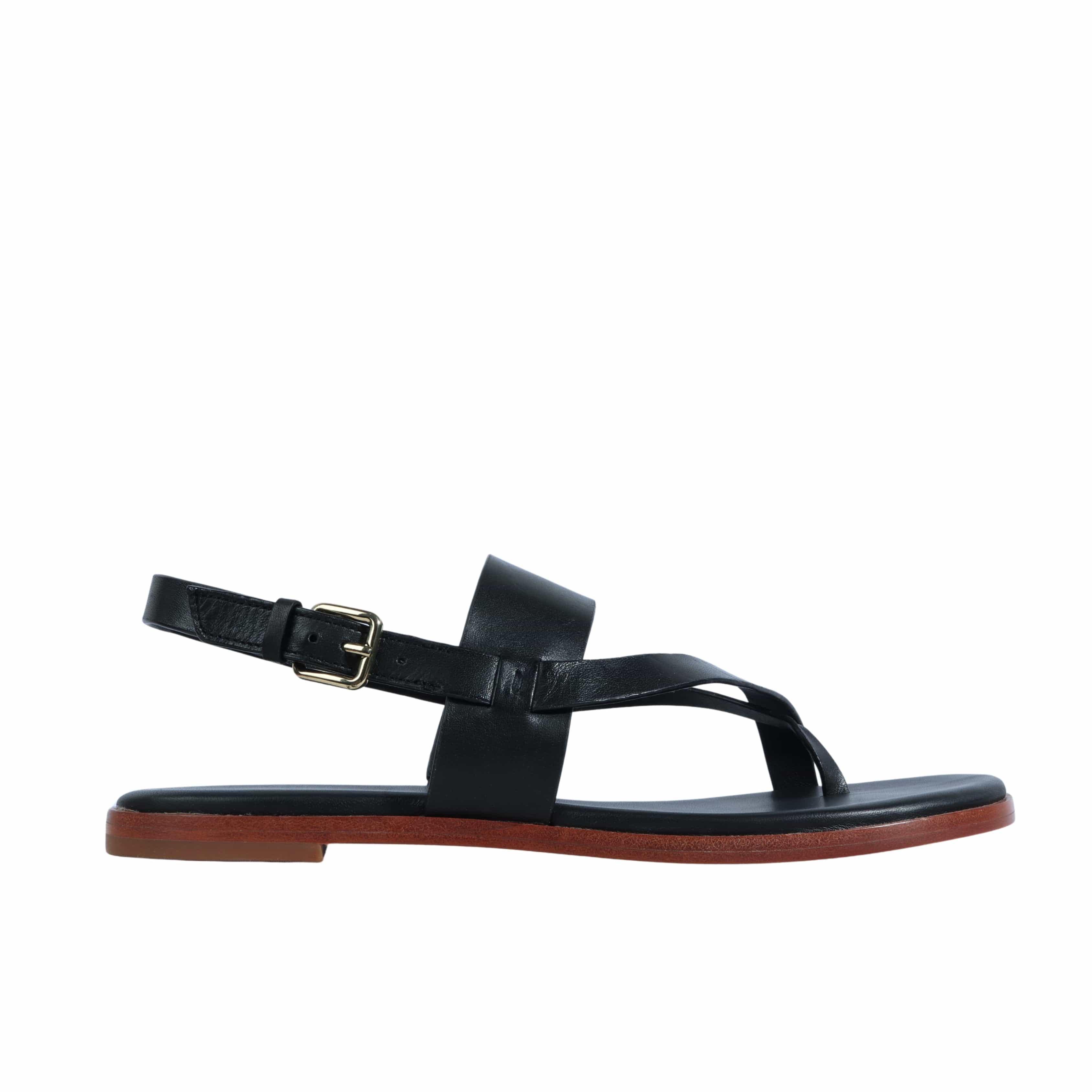 COLE HAAN Flynn Flatt Sandals Flat Beyond Marketplace