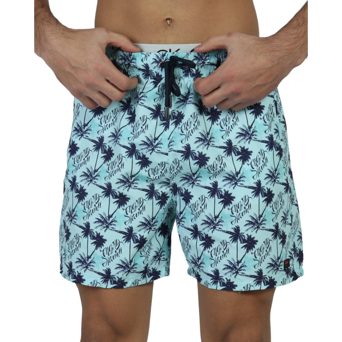 DYNAMO Mens Swimwear L / Multi-Color DYNAMO -Hawaii Vibes Swimwear