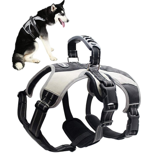 MIHACHI Pet Accessories Multi-Color MIHACHI - No Pull Dog Harness