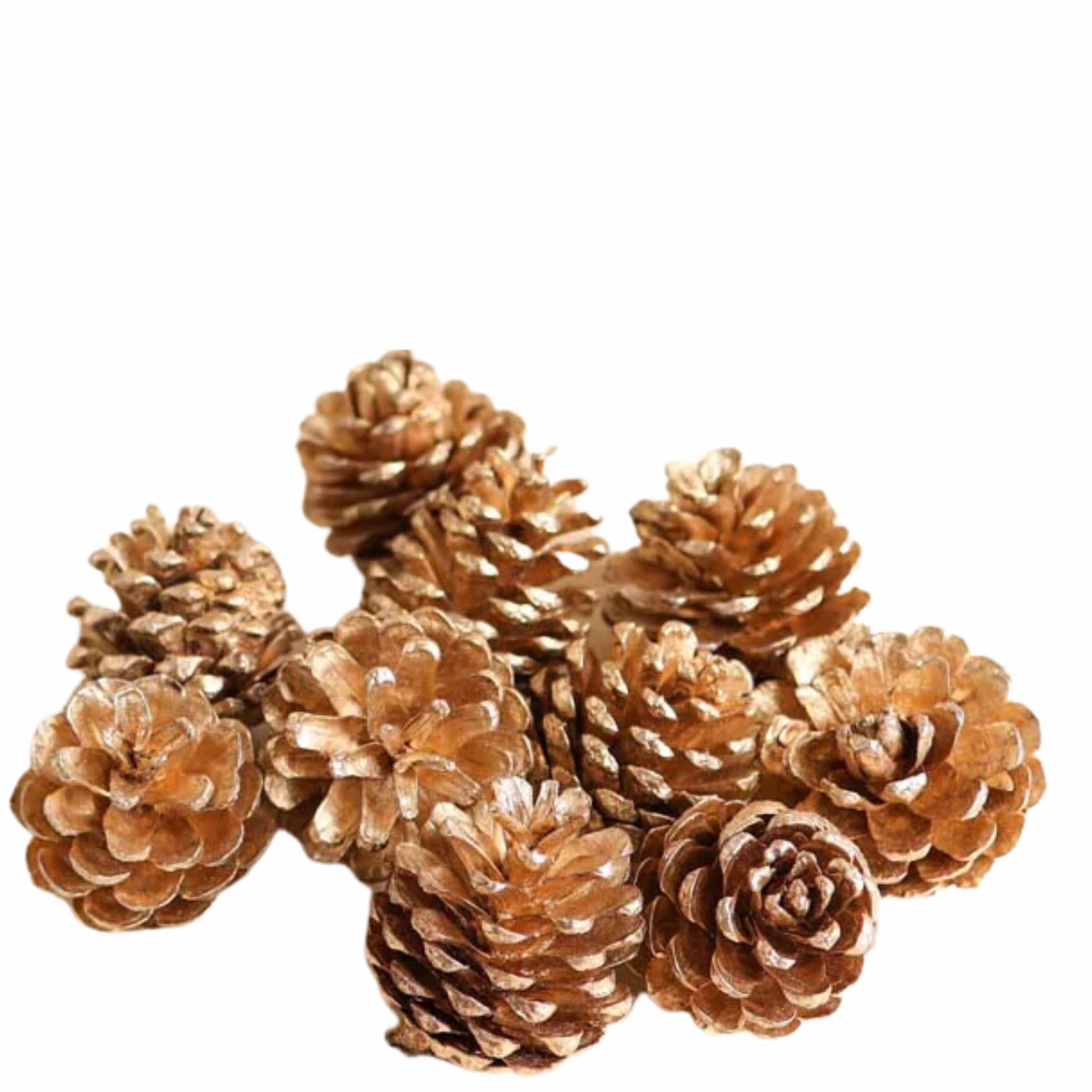 PINECONE FILL Christmas Decoration PINECONE FILL - 9 Pinecones Gold-Tipped