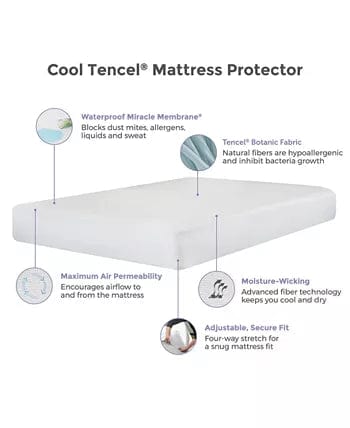 PROTECT-A-BED Bedsheets King / White PROTECT-A-BED - King Cool Cotton Waterproof Mattress Protector
