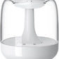 REMAX Electronic Accessories White REMAX - Remax Reqin Air Humidifier