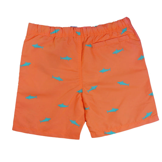 SHIWI Boys Swimwear M / Orange SHIWI - KIDS - Printed Swimwear