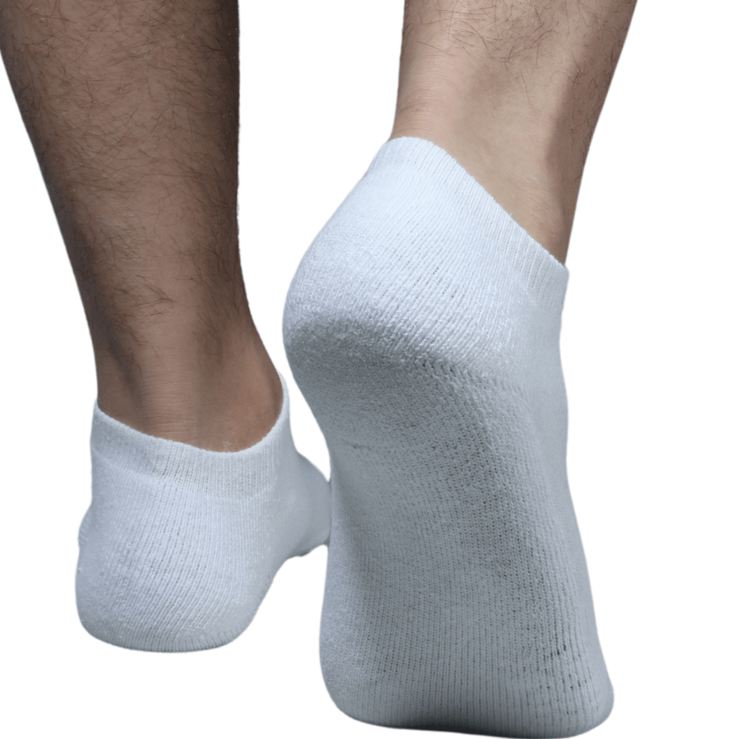 SOCKS LAND Socks SOCKS LAND - Lightweight Pack Of 3 Socks