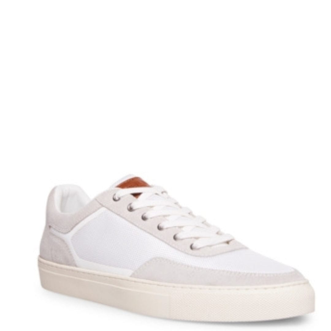 STEVE MADDEN Mens Shoes STEVE MADDEN - Fiercee Sneakers