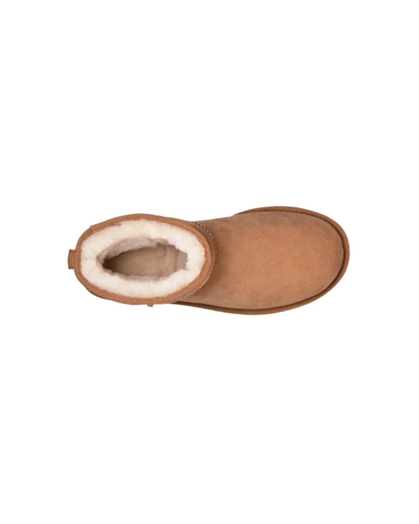 UGG Womens Shoes UGG - Classic Mini II Suede Boots