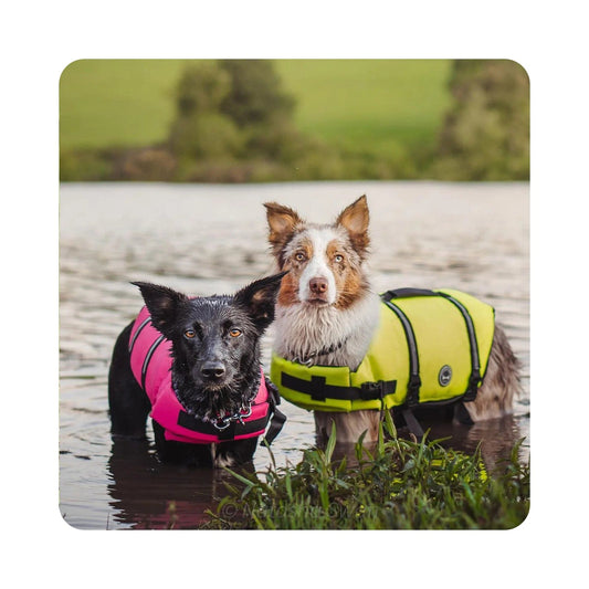 VIVAGLORY Pet Accessories XS / Pink VIVAGLORY - Ripstop Dog Life Vest