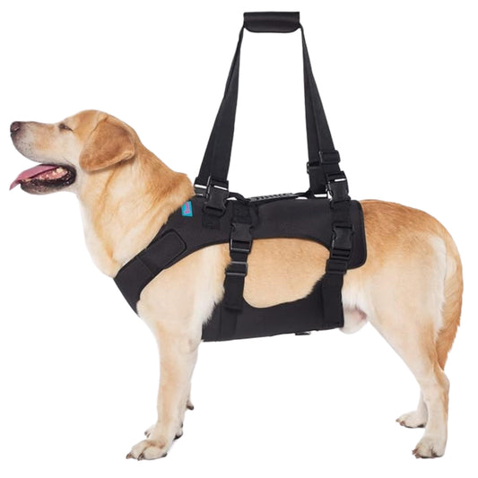 YRENOER Pet Accessories XL / Black YRENOER - Dog Lift Harness