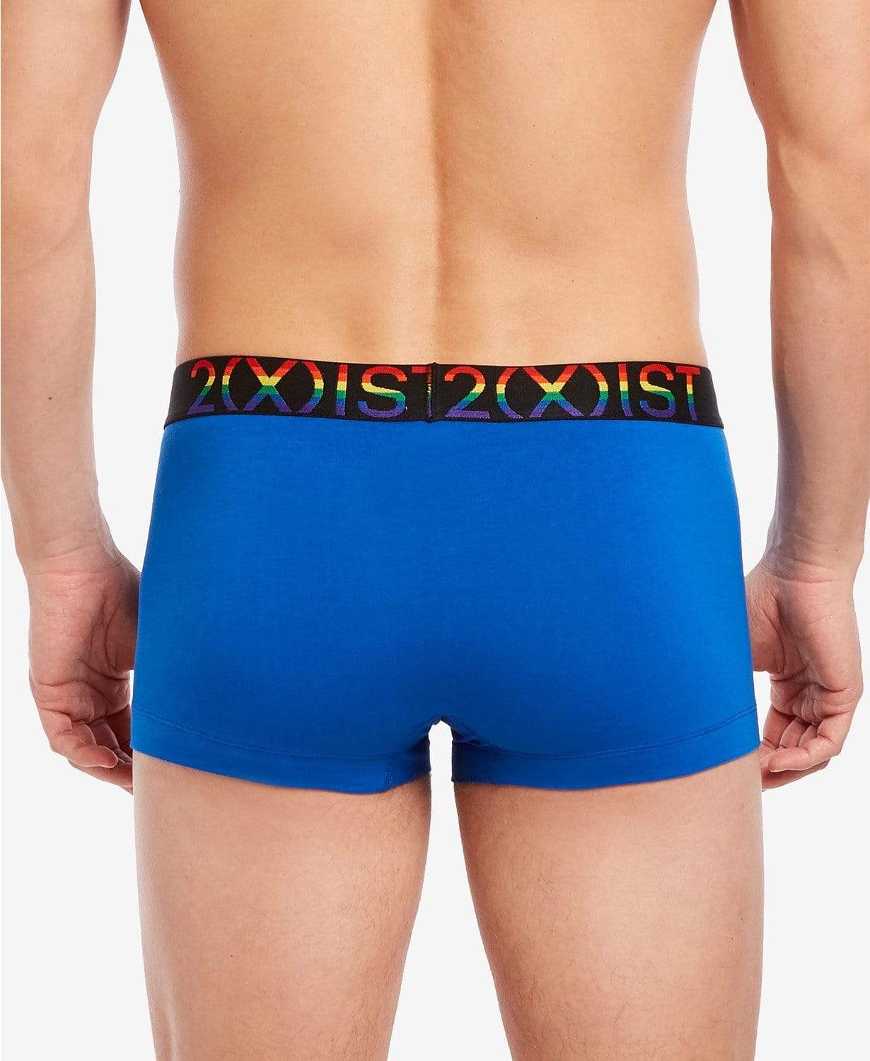 2(X)IST Mens Underwear S / Royal Blue Pride No-Show Trunks