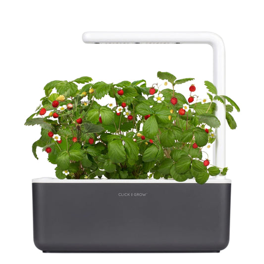 CLICK & GROW Smart Energy & Lighting Grey CLICK & GROW - Smart Garden 3